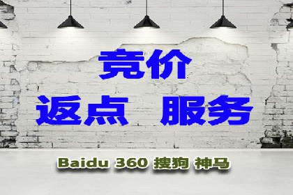 竞价托管SEM案例分析：提升品牌曝光度